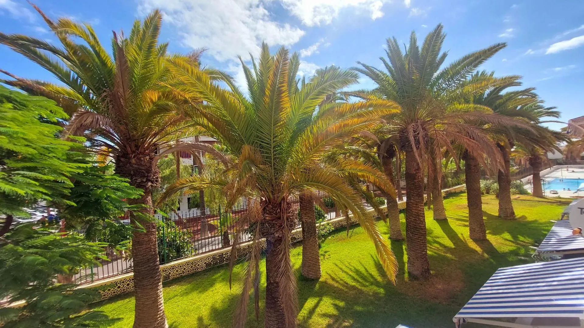 Lägenhet Apartamento Margarita Con Piscina En Playa Honda, Playa Las Americas Arona  Spanien