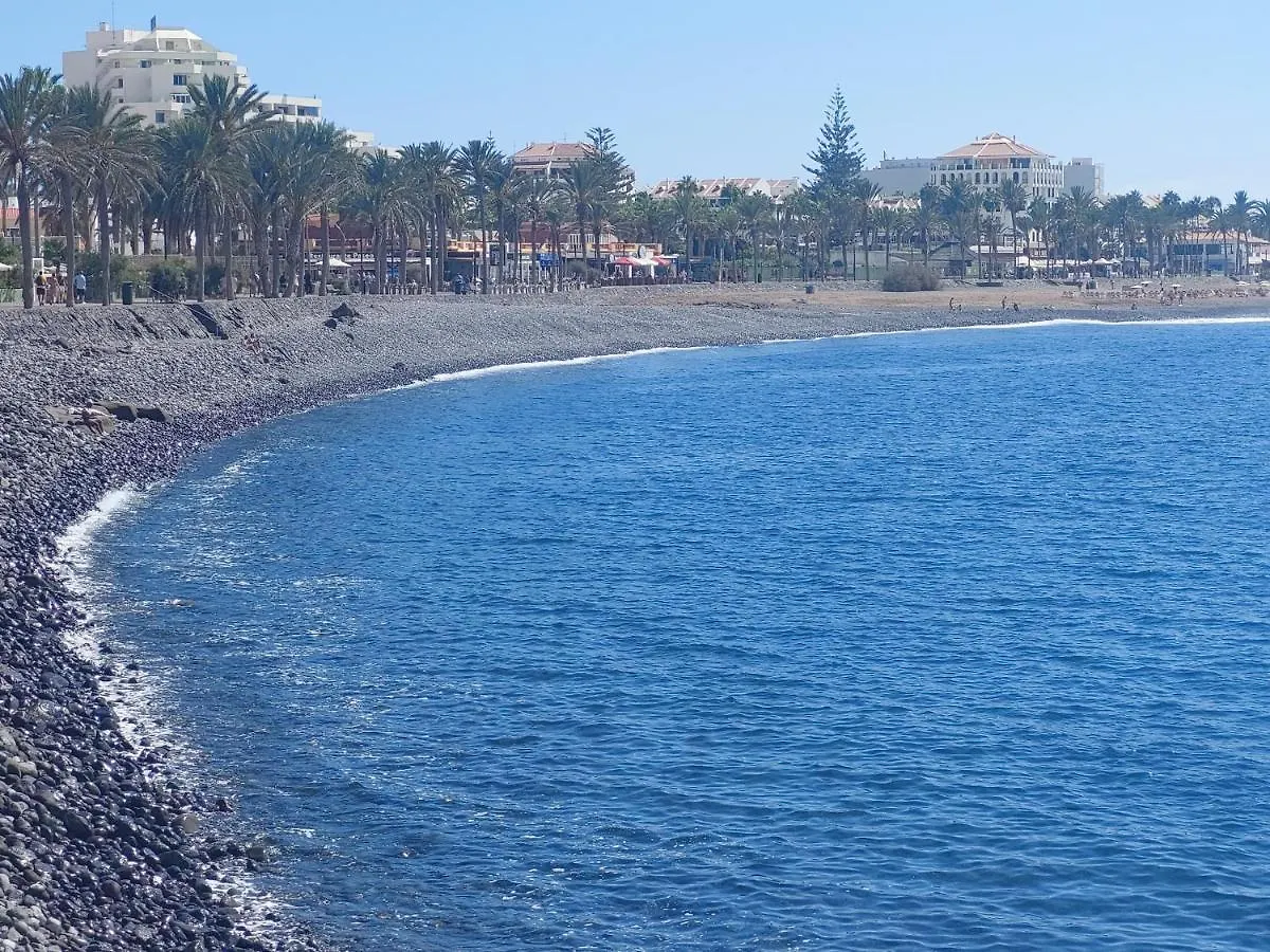 Apartamento Margarita Con Piscina En Playa Honda, Playa Las Americas Arona  Arona (Tenerife)